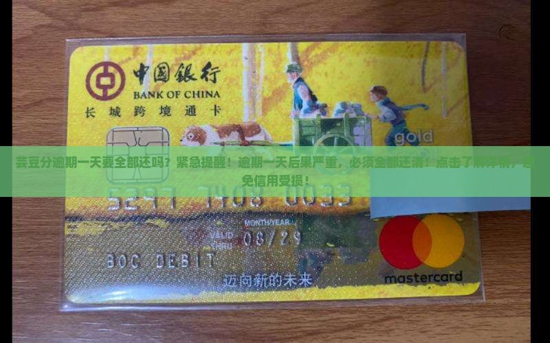 芸豆分逾期一天要全部还吗