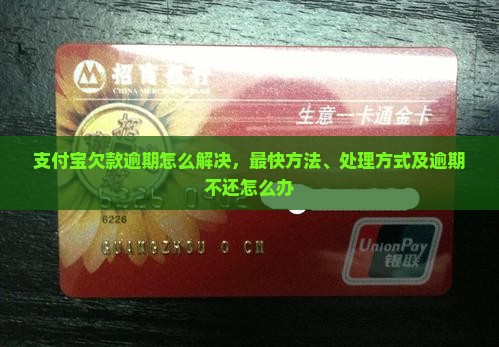 支付宝欠款逾期怎么解决