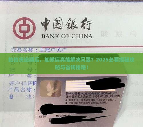 拍拍贷逾期加微信