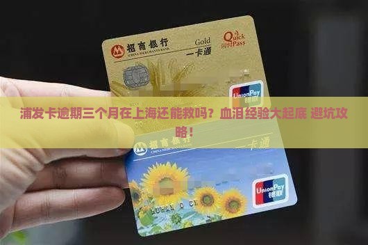 浦发卡逾期三个月在上海该如何处理