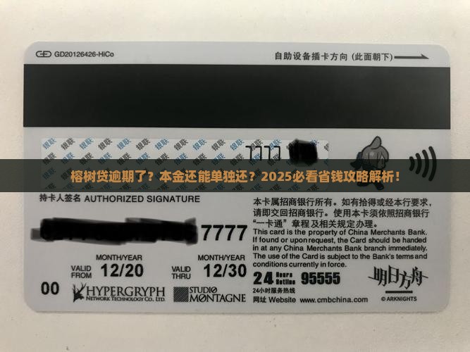 榕树贷逾期可以只还本金吗如何处理