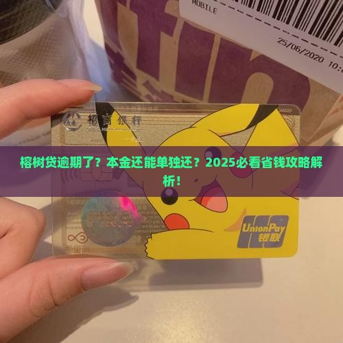 榕树贷逾期可以只还本金吗如何处理