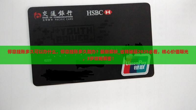 停息挂账多久可以办什么