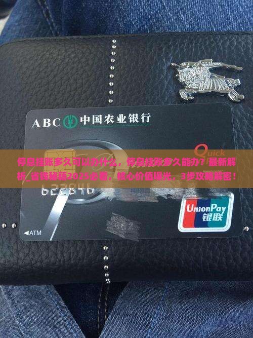 停息挂账多久可以办什么