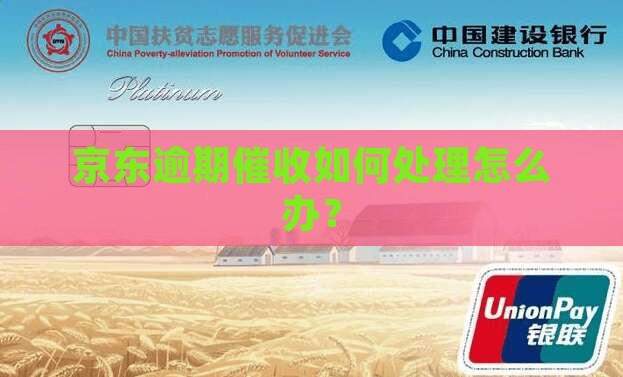 京东逾期催收如何处理怎么办？