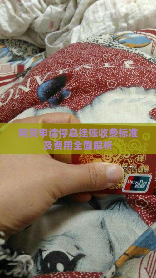网贷申请停息挂账收费标准及费用全面解析