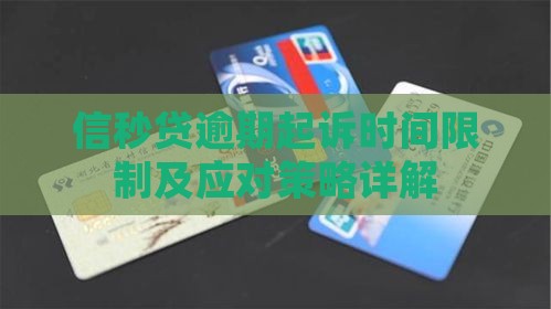 信秒贷逾期起诉时间限制及应对策略详解