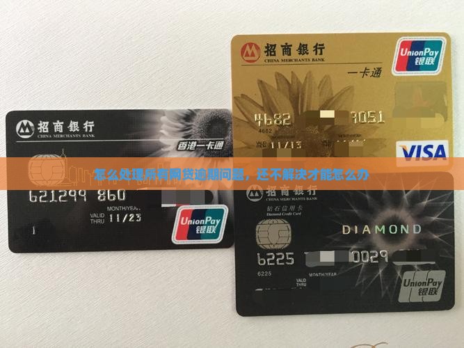 怎么处理所有网贷逾期问题，还不解决才能怎么办