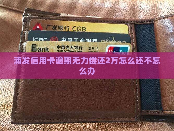 浦发信用卡逾期无力偿还2万怎么还不怎么办