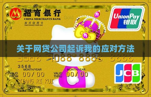 关于网贷公司起诉我的应对方法