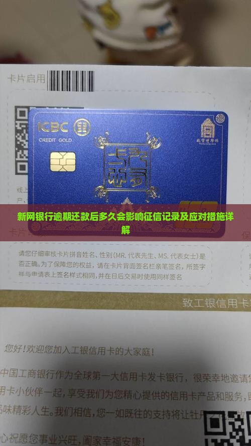 新网银行逾期还款后多久会影响征信记录及应对措施详解