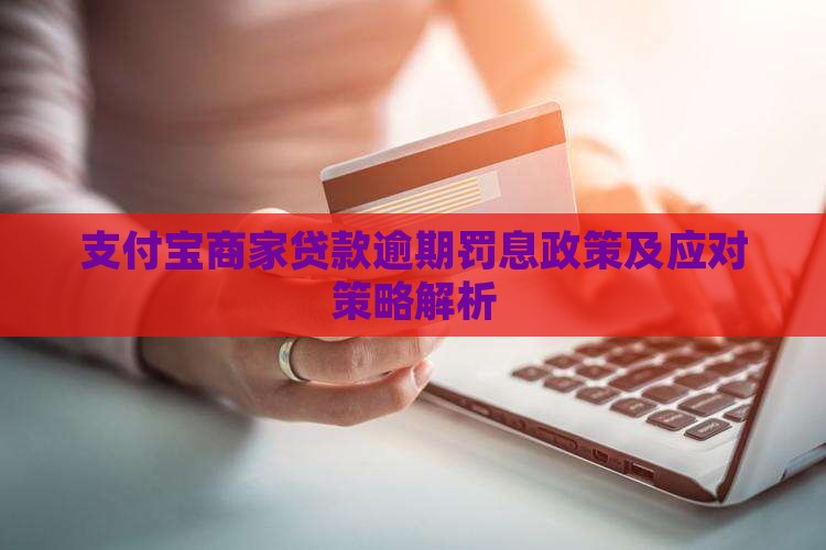 支付宝商家贷款逾期罚息政策及应对策略解析