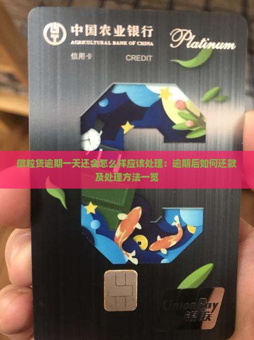 微粒贷逾期一天还会怎么样应该处理：逾期后如何还款及处理方法一览