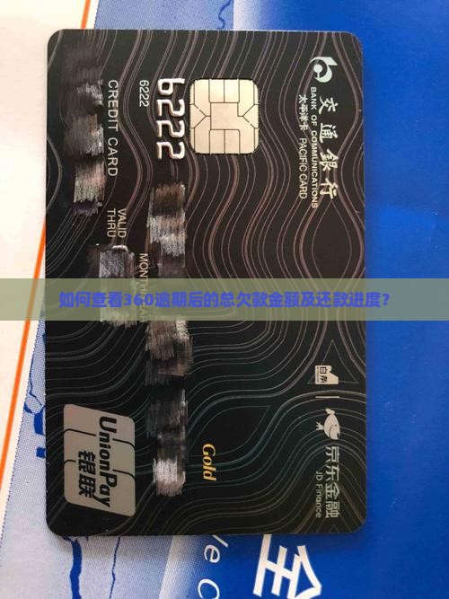 360逾期后在哪看总欠款