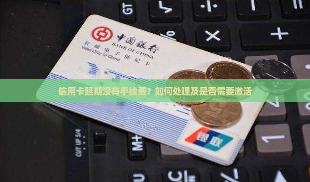 信用卡延期没有手续费