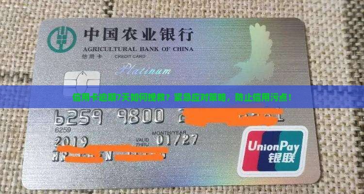 信用卡逾期7天怎么办应该立刻采取什么措施 信用卡逾期7天怎么办应该立刻采取什么措施