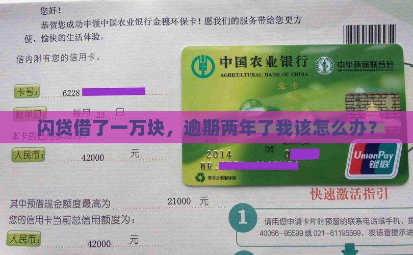 闪电借款一万逾期两年了如何处理