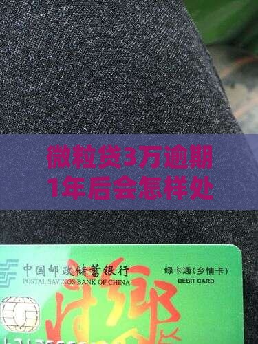 微粒贷3万逾期1年后会怎样处理