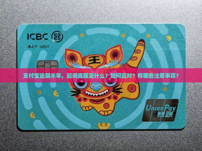 支付宝逾期半年起诉流程是什么