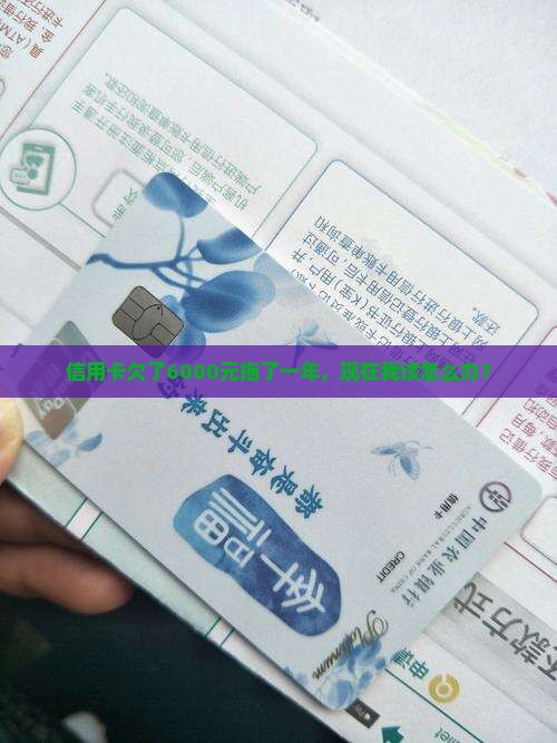信用卡欠款6000元一年了怎么办