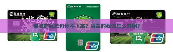 催收怎么还没停止催收信息解决办法