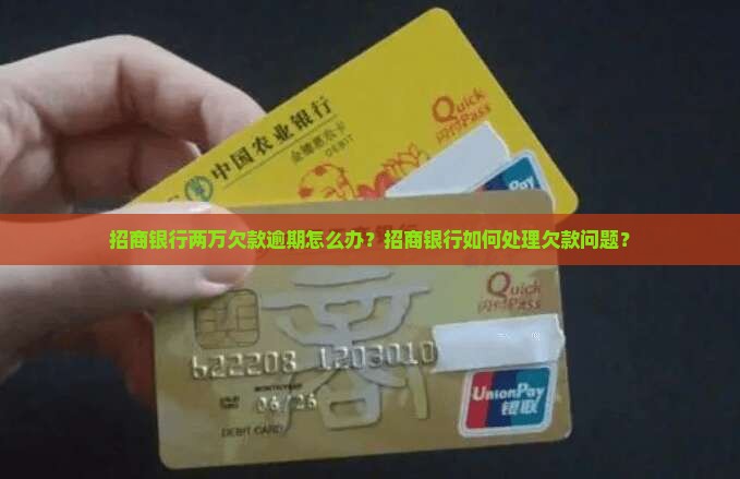 招商银行欠款两万怎么办