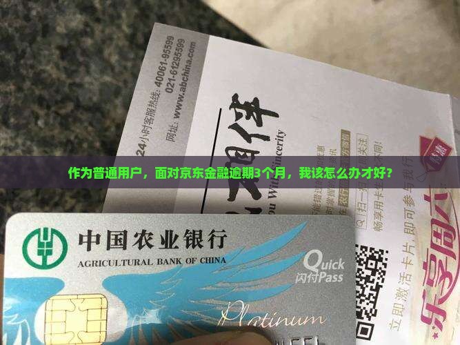 京东金融逾期3个月了应该怎么处理