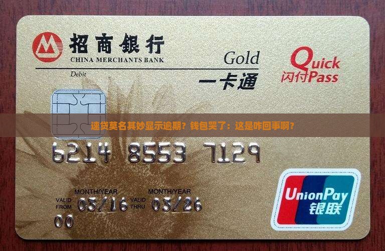 莫名收到速贷逾期