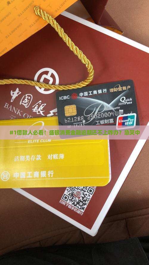 盛银消费金融贷款逾期怎么还款