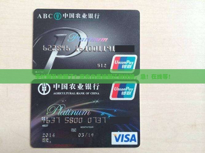 京东白条如何还逾期部分