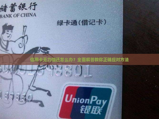 个人欠信用卡无力还款应该怎么办