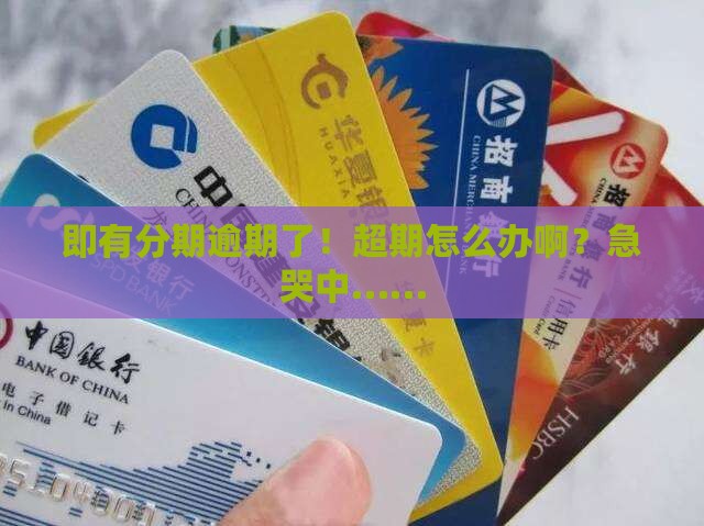 即有分期逾期还款超期如何处理