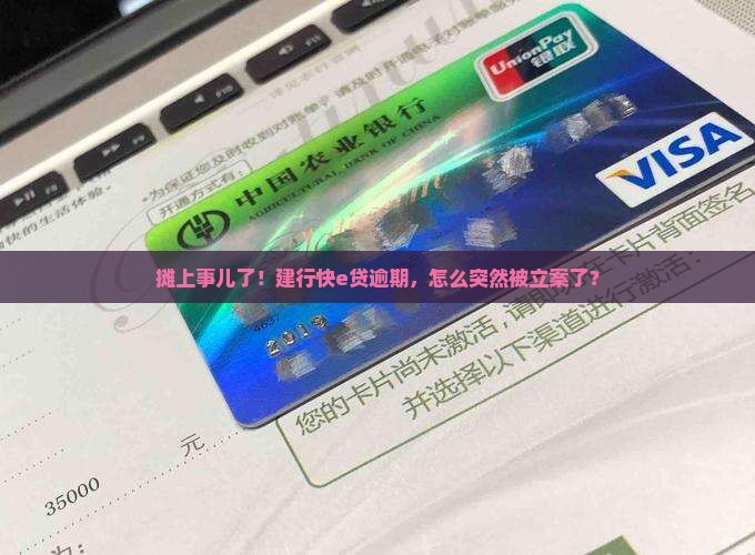 建行快e贷逾期被立案如何应对