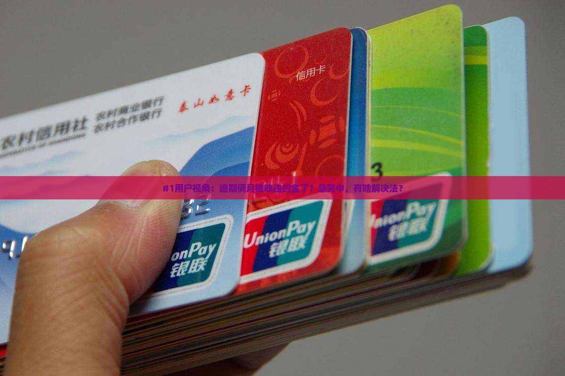 捷信违逾期了两个月违约金怎么办 捷信违逾期了两个月违约金怎么办