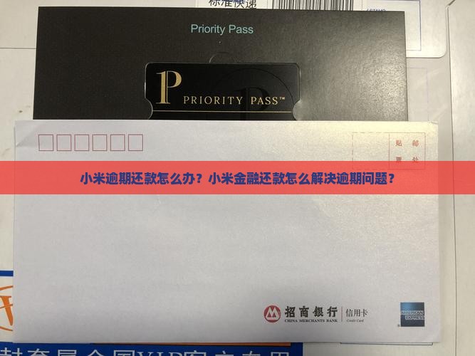 小米金融延迟还款有什么解决办法