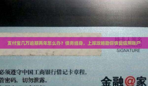 支付宝几万逾期两年怎么办可以恢复正常账户吗