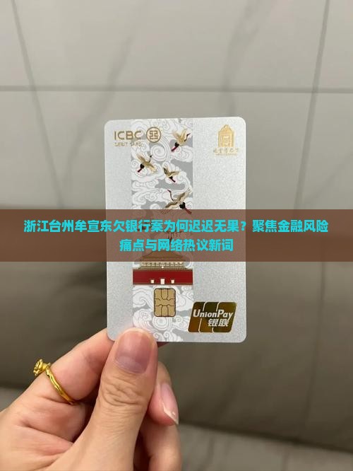 浙江台州牟宣东欠银行最新进展