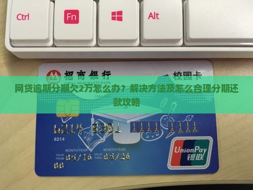 网贷欠2万分期怎么办