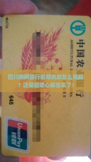 四川新网银行逾期贷款调解流程详解