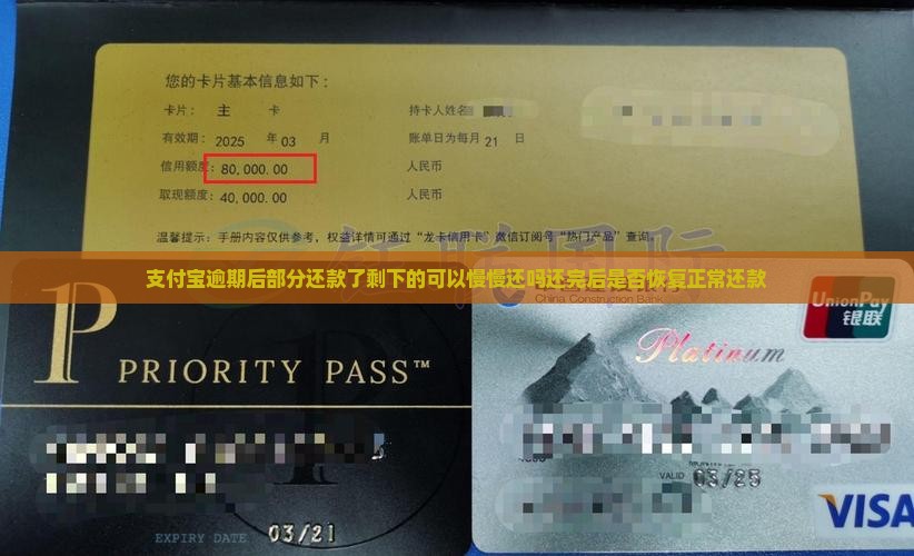支付宝逾期后部分还款了