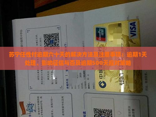 苏宁任性付逾期六十天的解决方法及注意事项