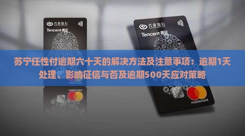 苏宁任性付逾期六十天的解决方法及注意事项