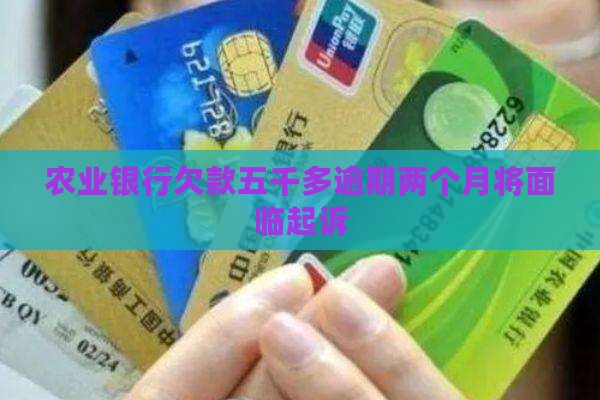 农业银行欠款五千多逾期两个月将面临法律起诉 农业银行欠款五千多逾期两个月将面临法律起诉