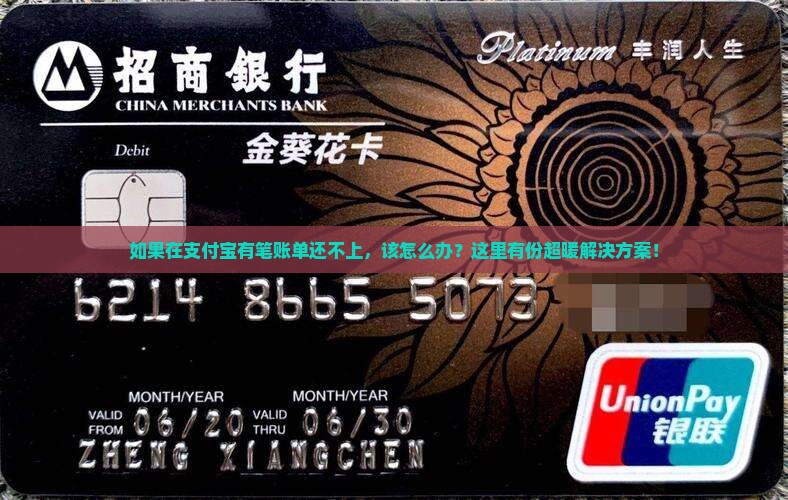 支付宝欠款协商处理流程