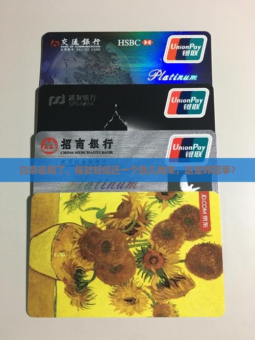 白条逾期还款还有催款短信 白条逾期还款还有催款短信