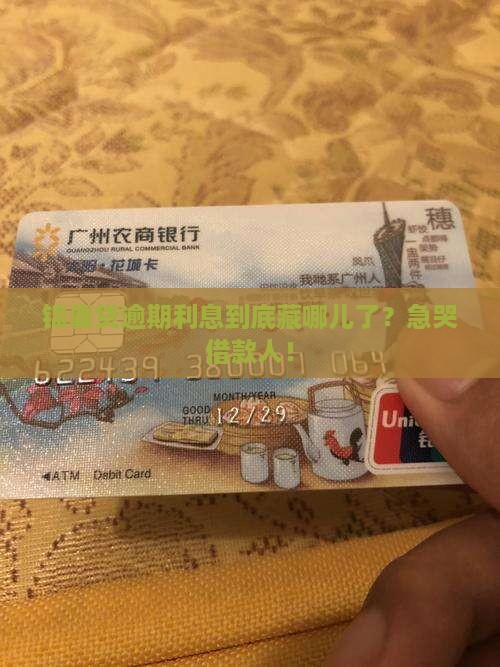 锦囊贷逾期利息显示在哪里