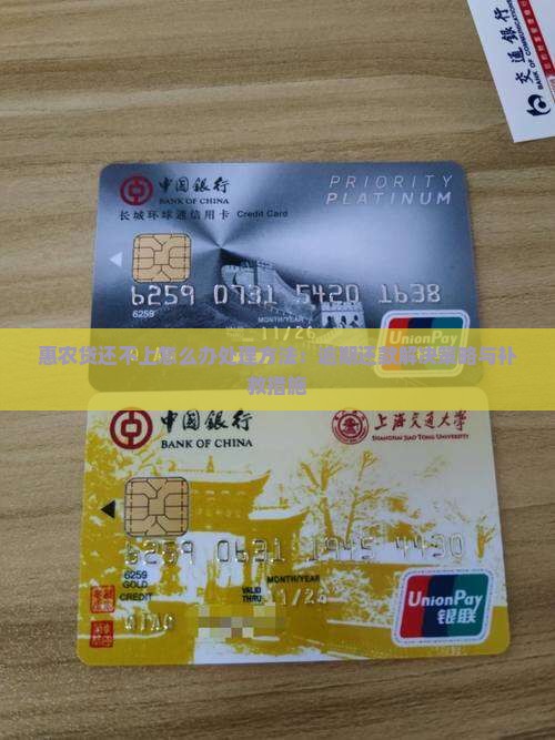 惠农贷还不上怎么办处理方法