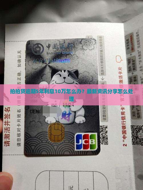 拍拍贷逾期5年利息10万怎么办理