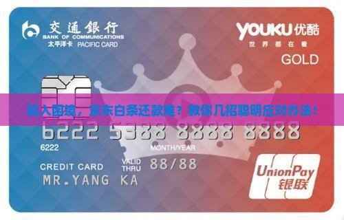 欠京东白条还不起怎么办京东白条如何解决