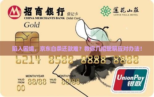 欠京东白条还不起怎么办京东白条如何解决